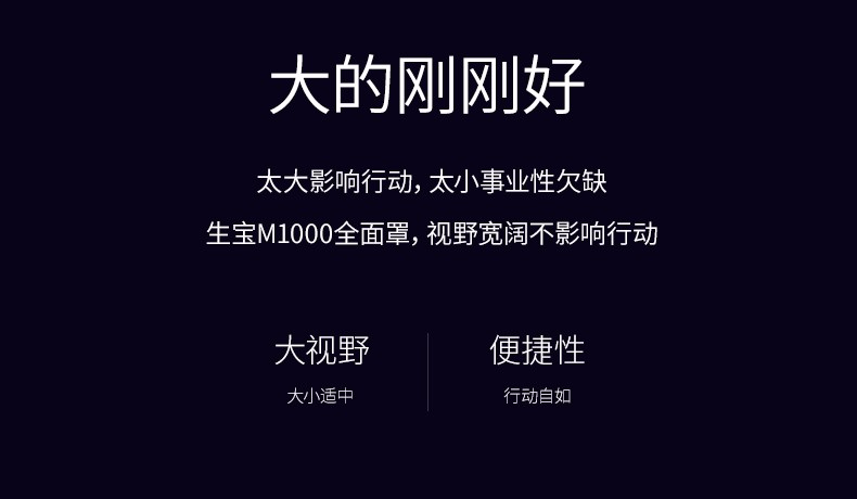 生寶M1000自吸過濾式防毒面具圖片3