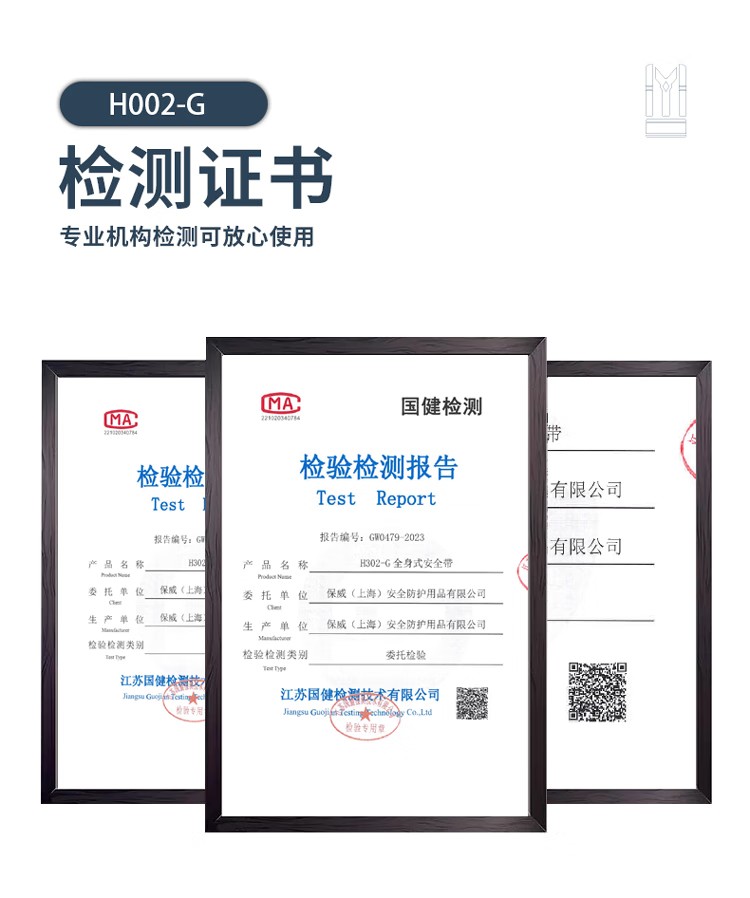 PIP H002-G經(jīng)濟(jì)款雙掛點(diǎn)全身式安全帶9